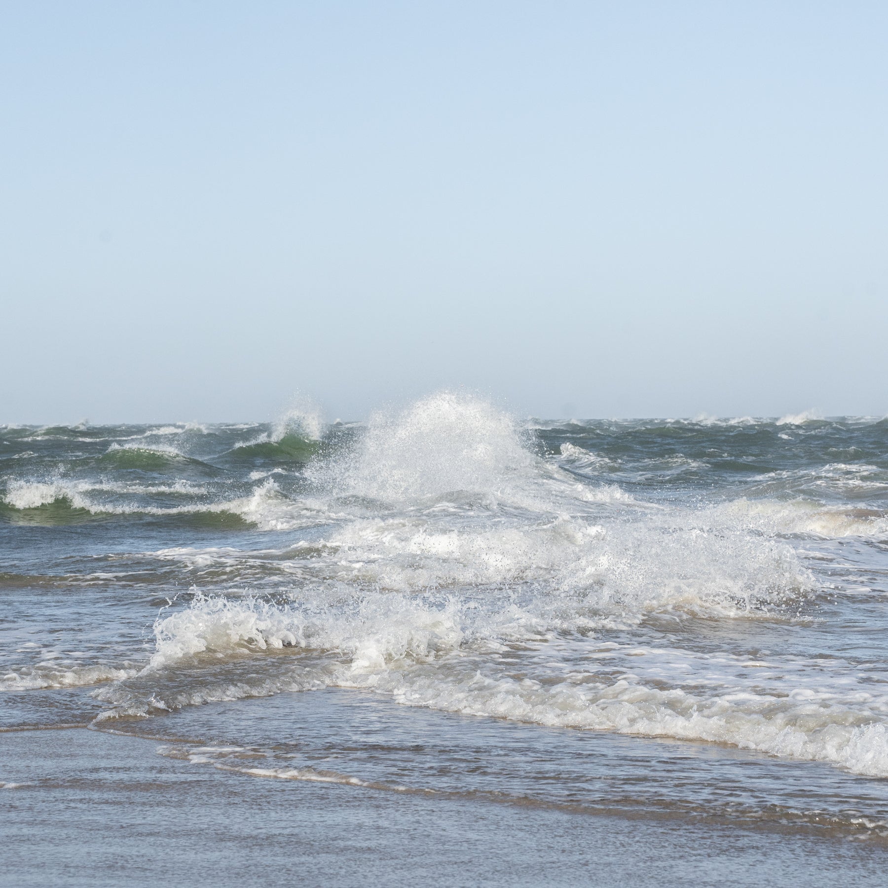 Grenen