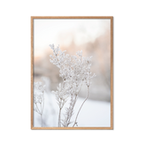 Winter Details