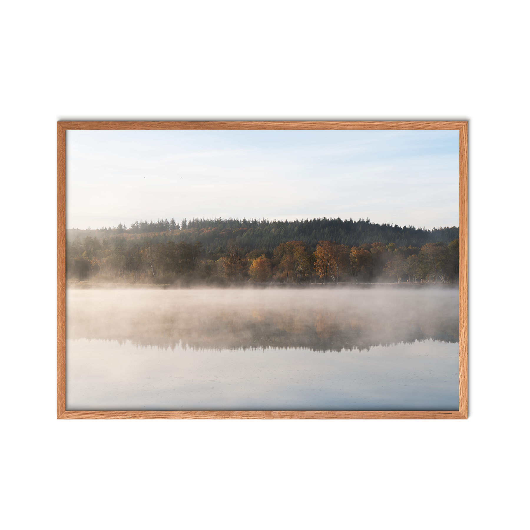Autumn Reflections no. 2