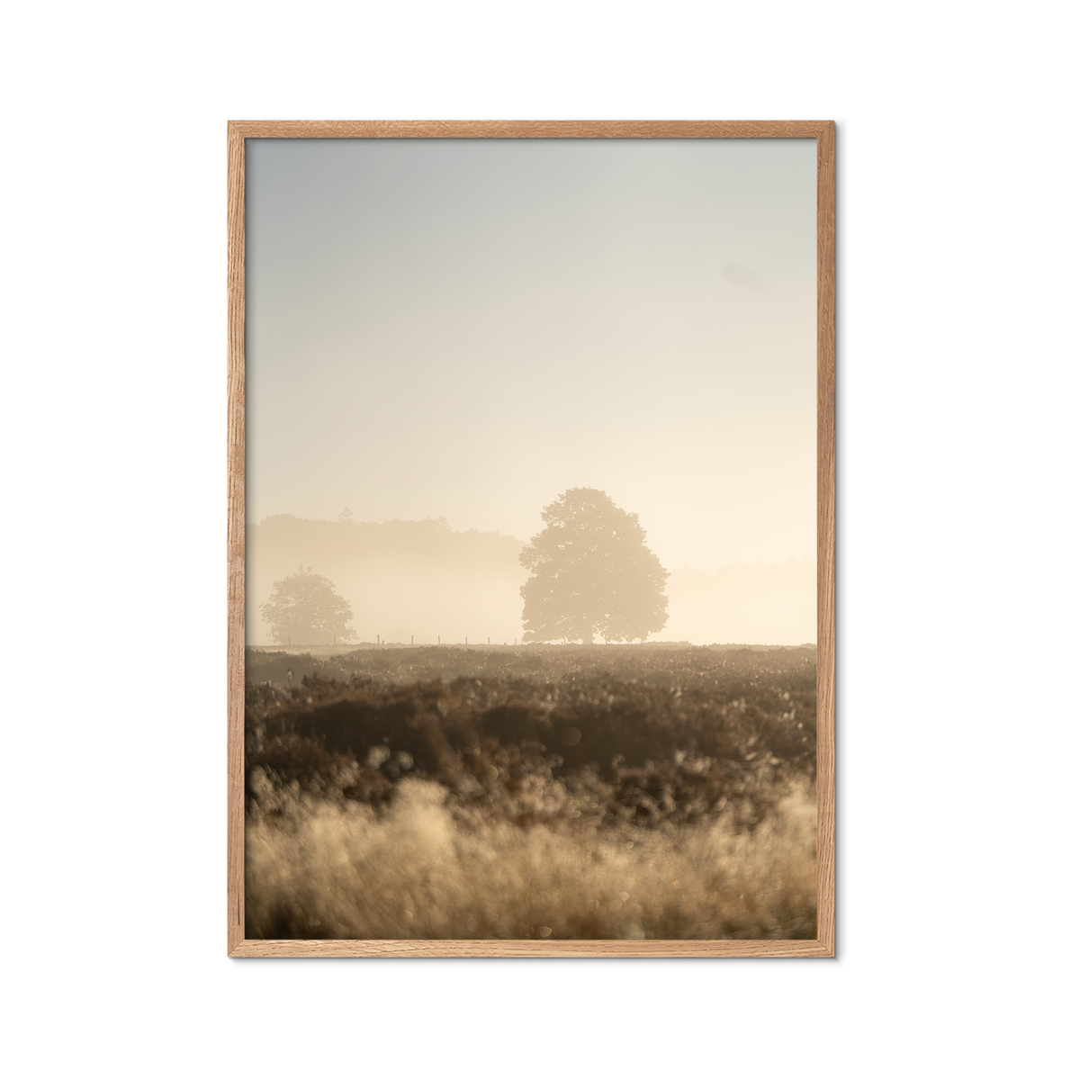 Morning Haze no. 2