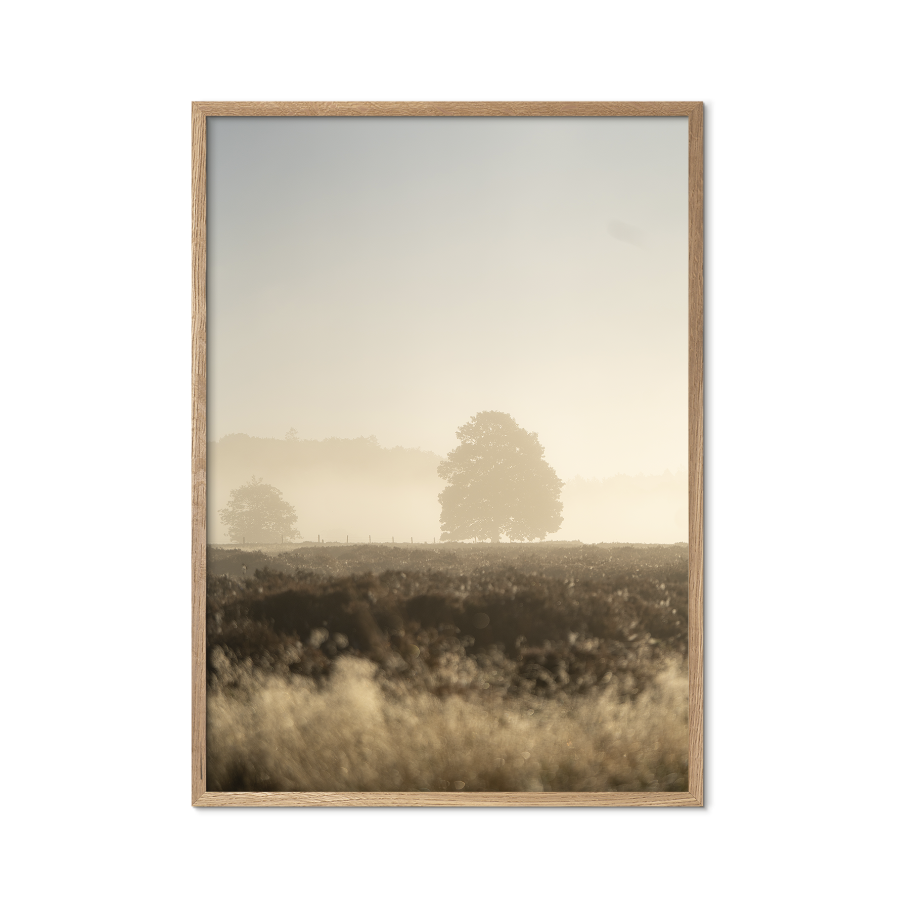 Morning Haze no. 2