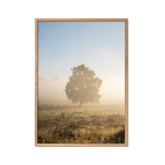 Morning Haze no. 3