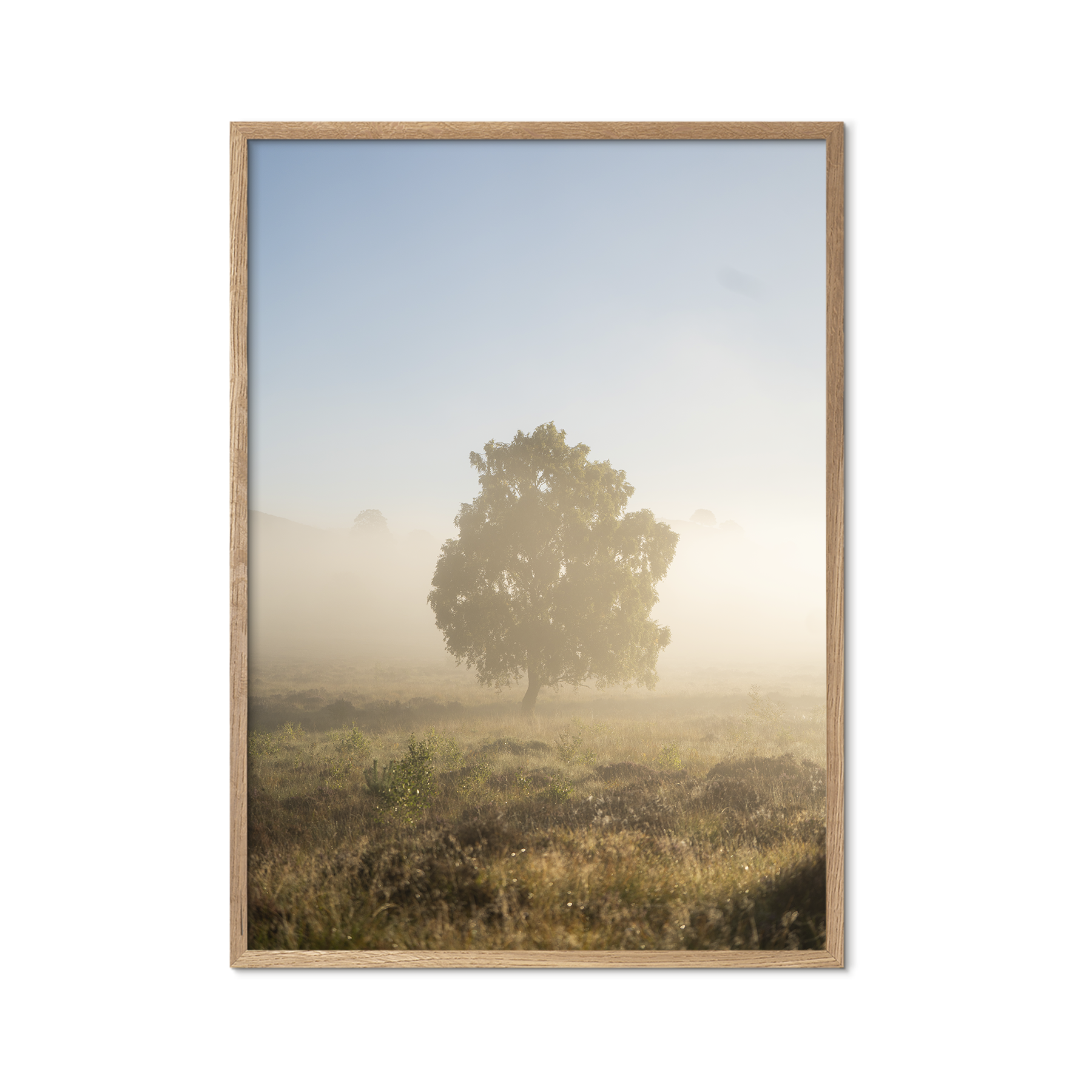 Morning Haze no. 3